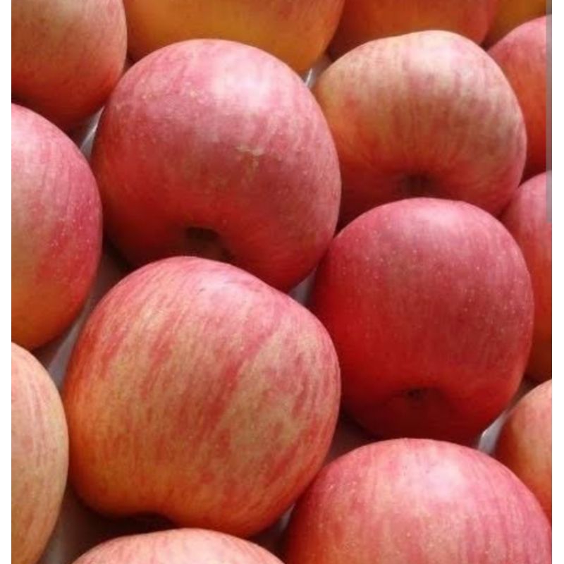 

Apel Fuji fresh_1kg