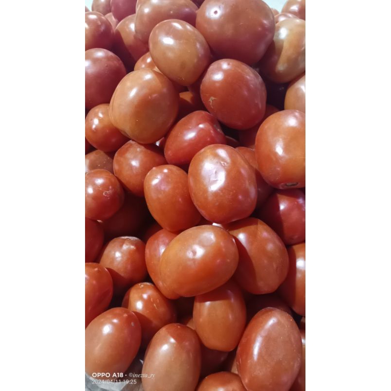 

tomat buah 250gr