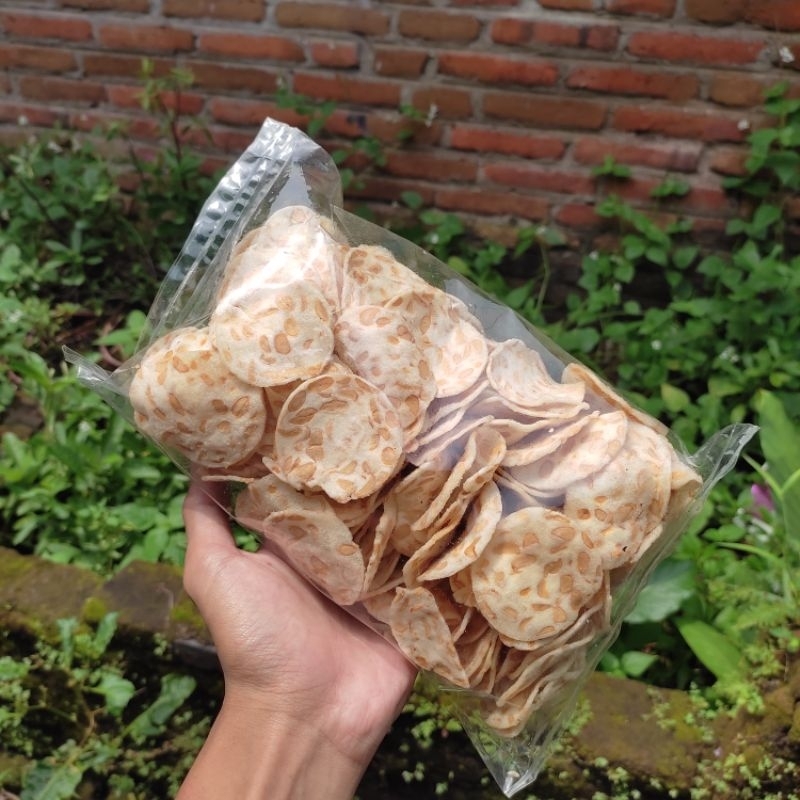 

Keripik Tempe