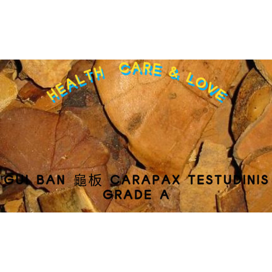 

Gui Ban 龜板 Carapax Testudinis Grade A 50 Gr