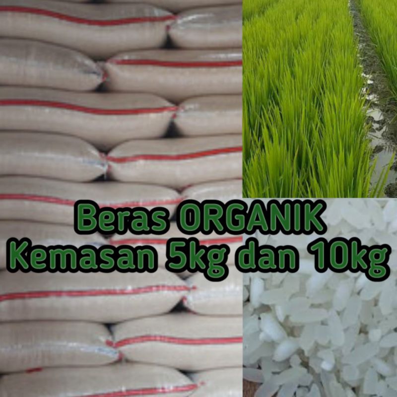 

Beras Organik 10Kg dan 5Kg