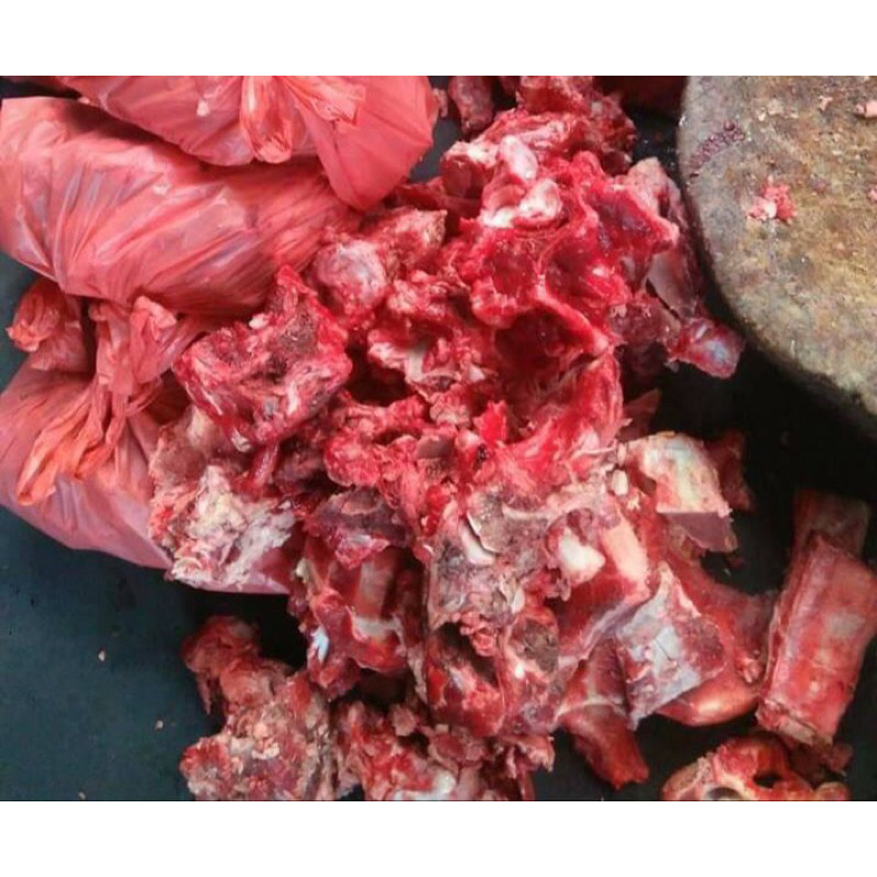 

tulang sapi