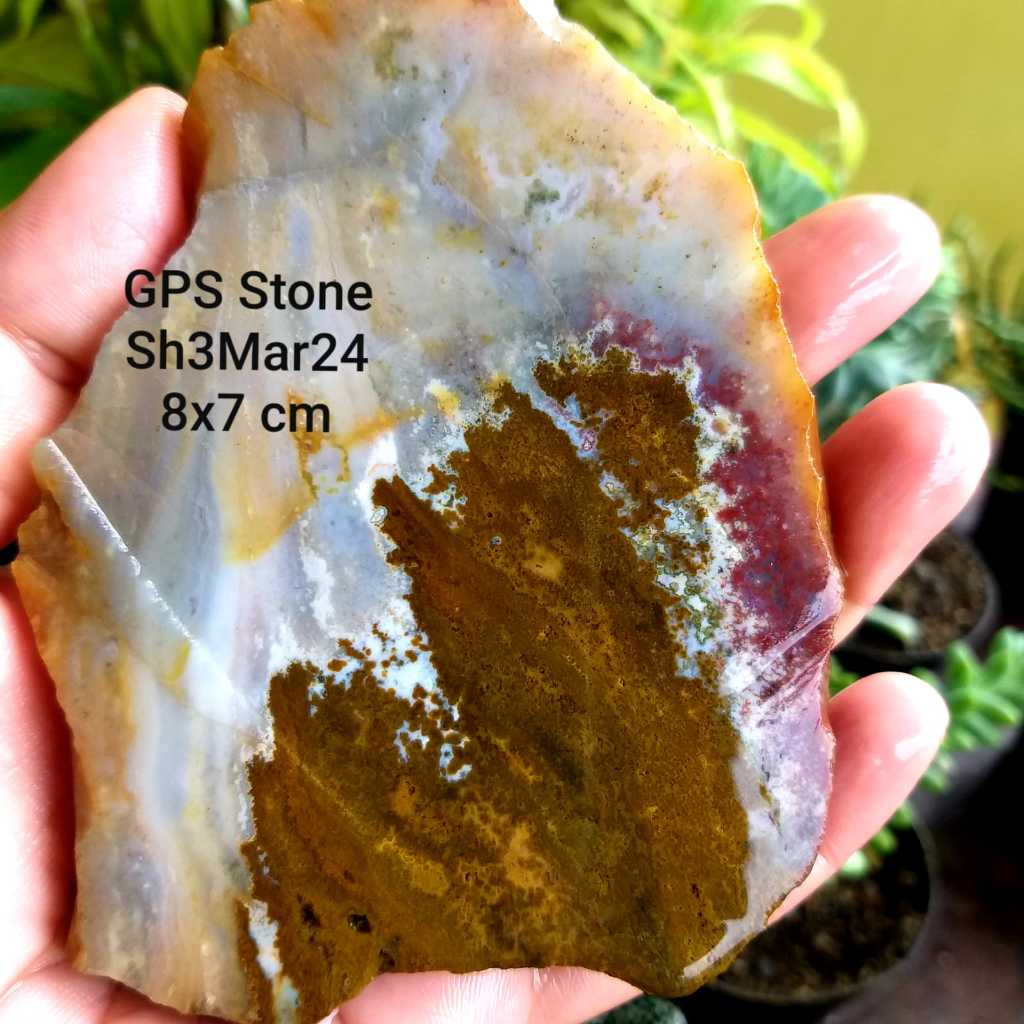 PROMO Batu Akik OCEAN jasper Klawing KRISTAL/Telor kodok SUPER  100 % SH3APR24'10
