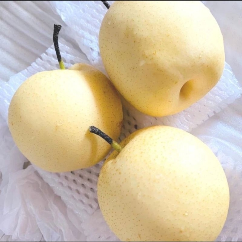 

Pear Century Madu Original