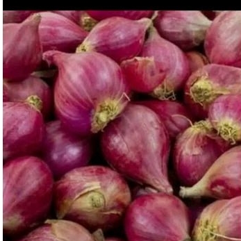 

Bawang merah super gede pilihan 250 gram
