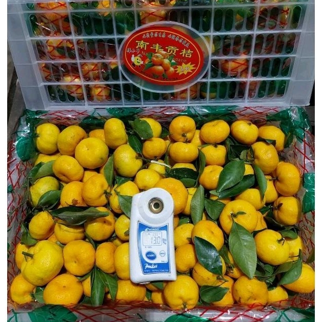 

Jeruk Wogan Daun Keranjang