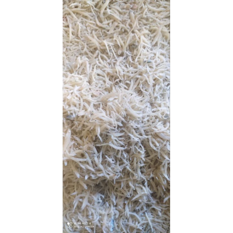 

Ikan Asin Teri Nasi Medan/Teri Nasi Asin Kering Super 100 gram