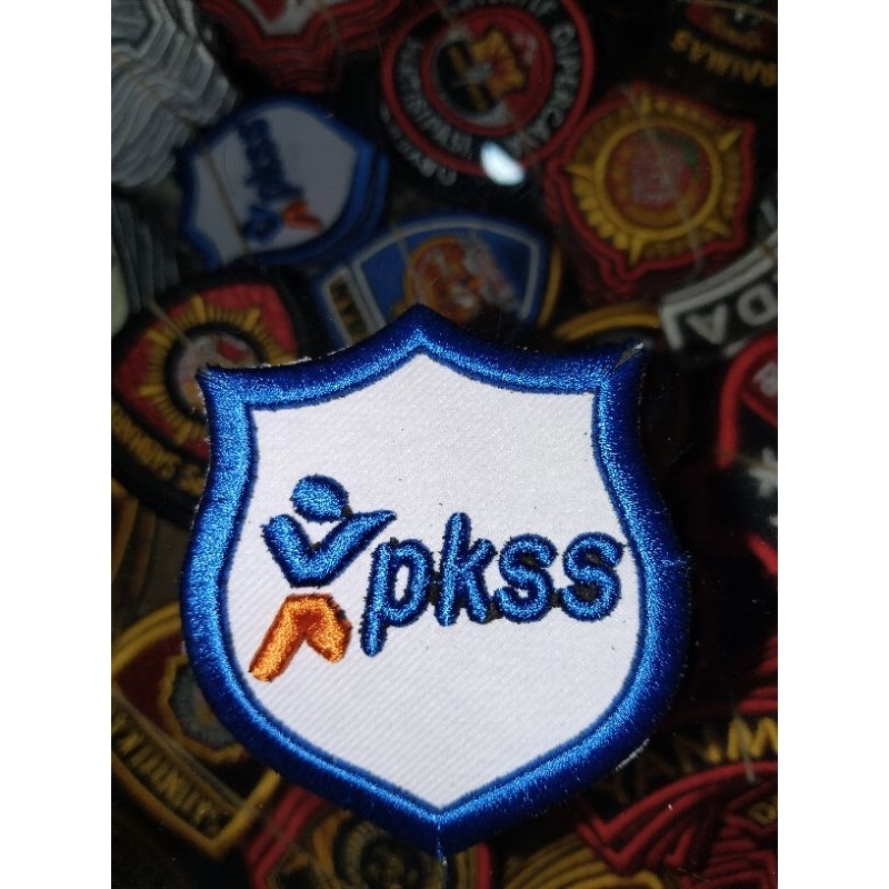 Logo PKSS