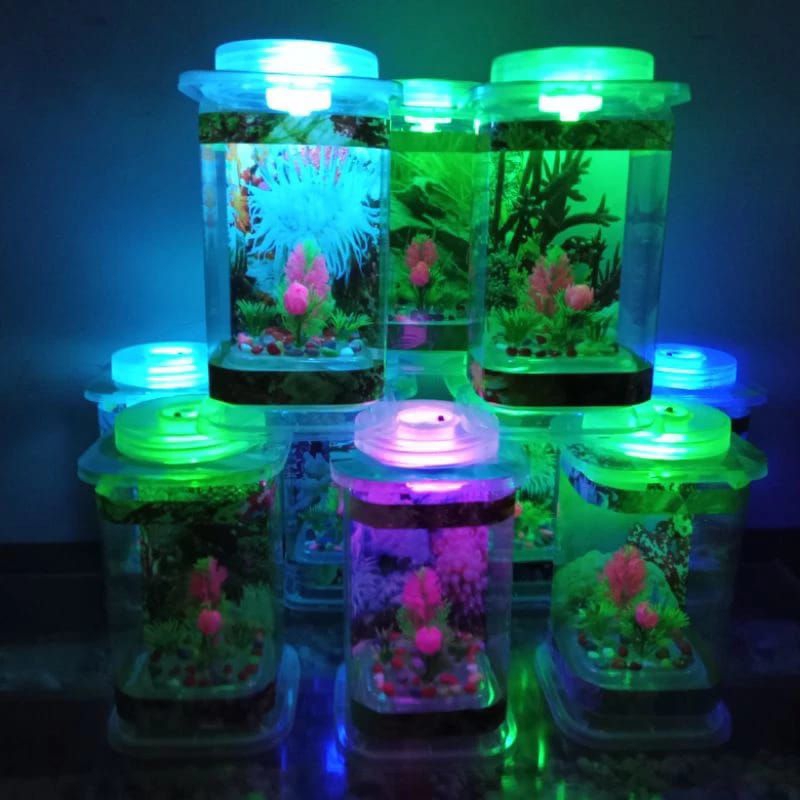 GROSIR AQUARIUM UNIK IKAN CUPANG GUPPY HIAS LUCU HIASAN RUMAH KAMAR TIDUR MURAH