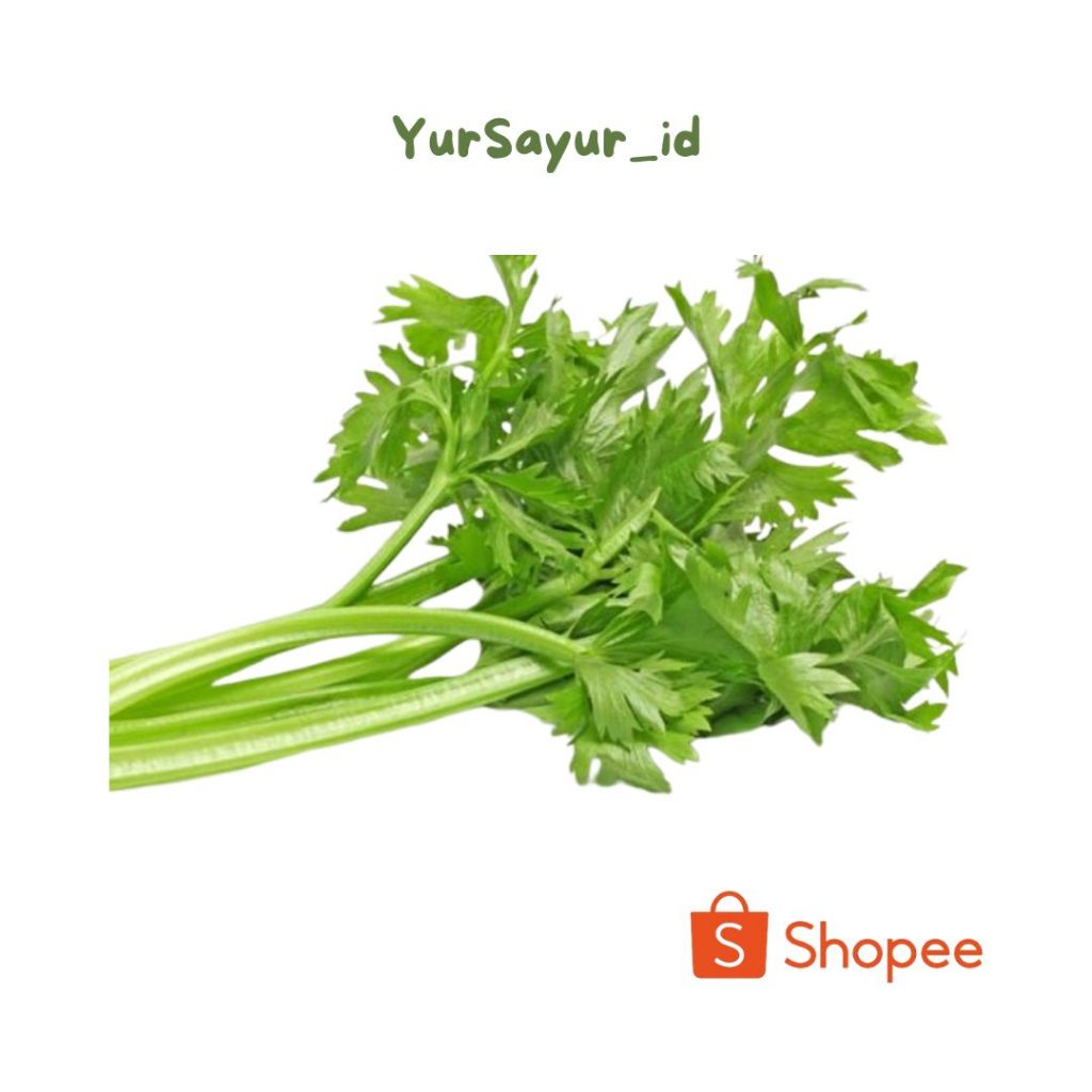 

daun bawang dan sledri unclang segar