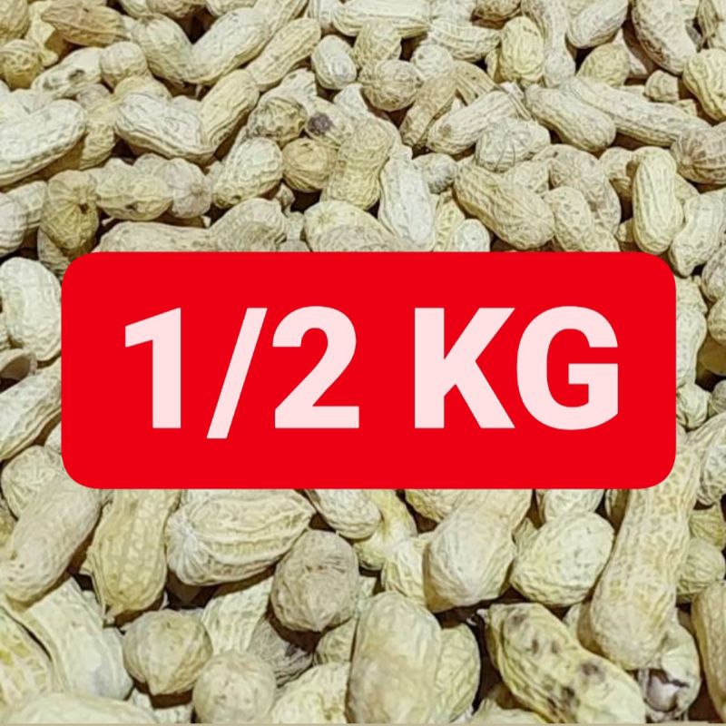 

500g Kacang Kulit Asin Gurih