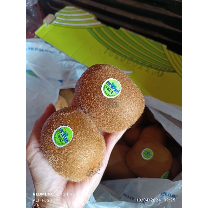 

1 KG Buah Kiwi green zespri