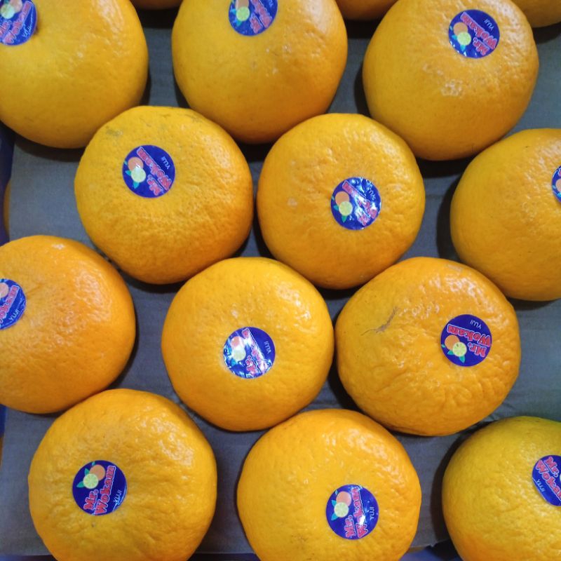

Jeruk Wokam RRC /Manis /Harga Box (8,5Kg)