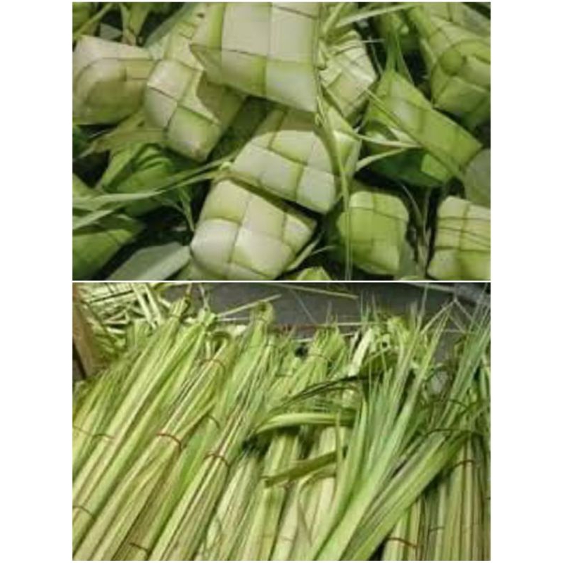 

janur kelapa , ketupat kosong harga berbiji