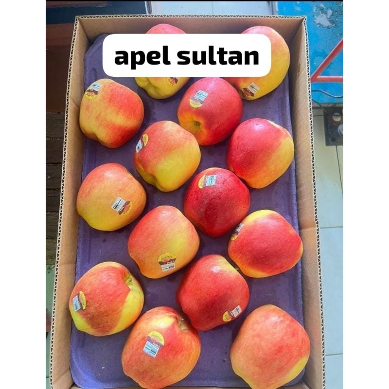 

APEL AMBROSIA / APEL SULTAN / APEL JUMBO