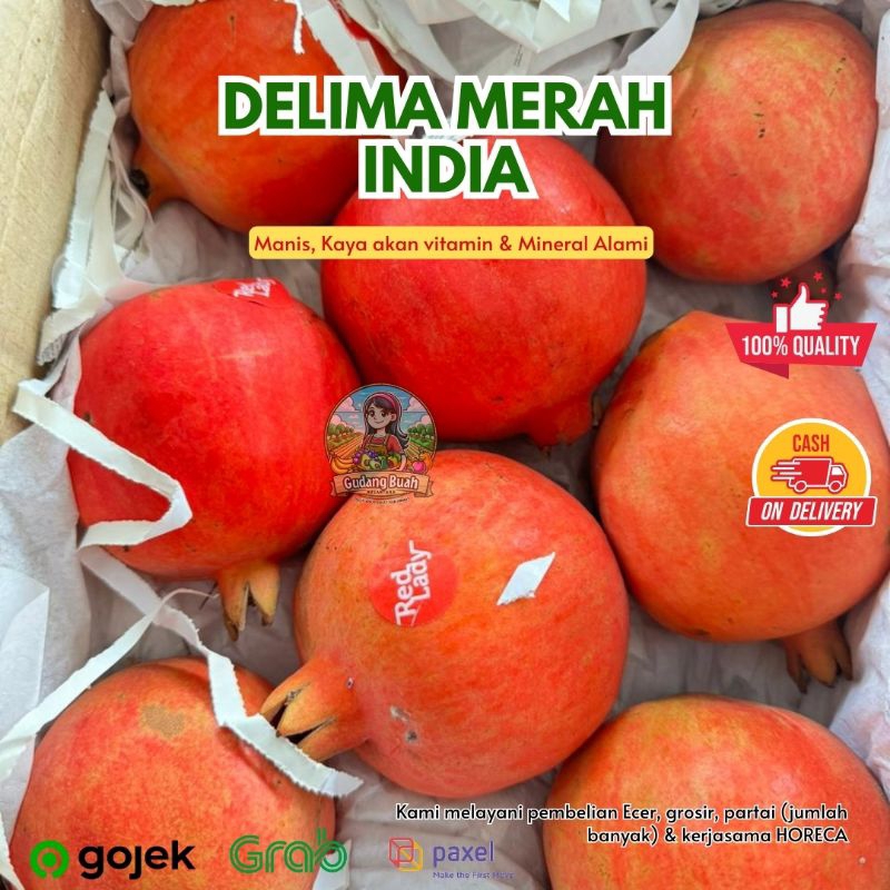 

Delima Merah India Manis - gudangbuahnusantara