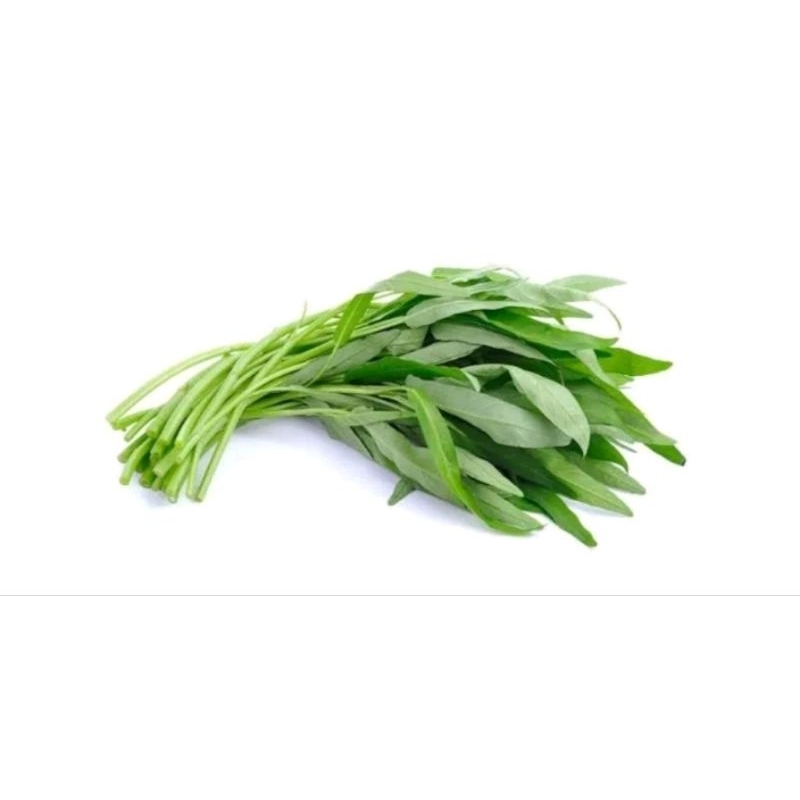 

kangkung fresh 1 ikat/instan