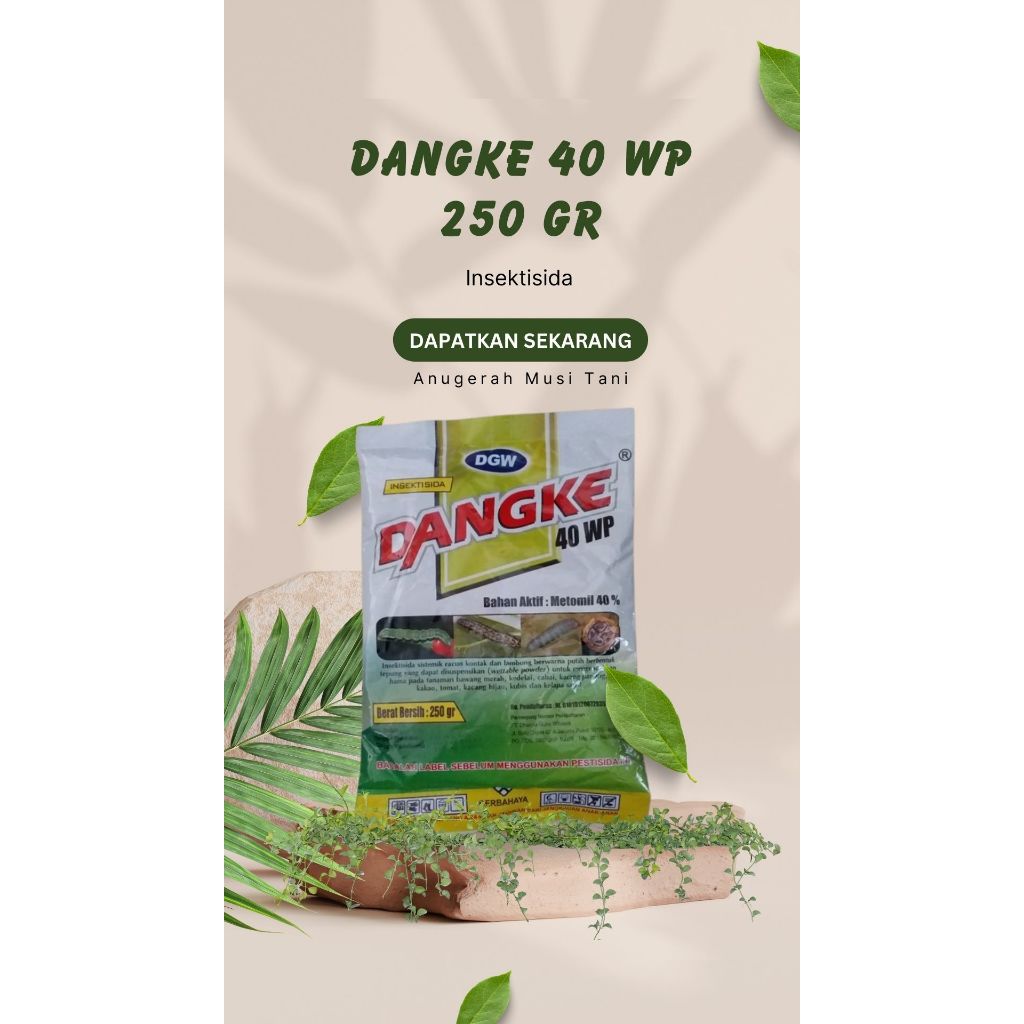 Dangke 40 WP (250 gr)