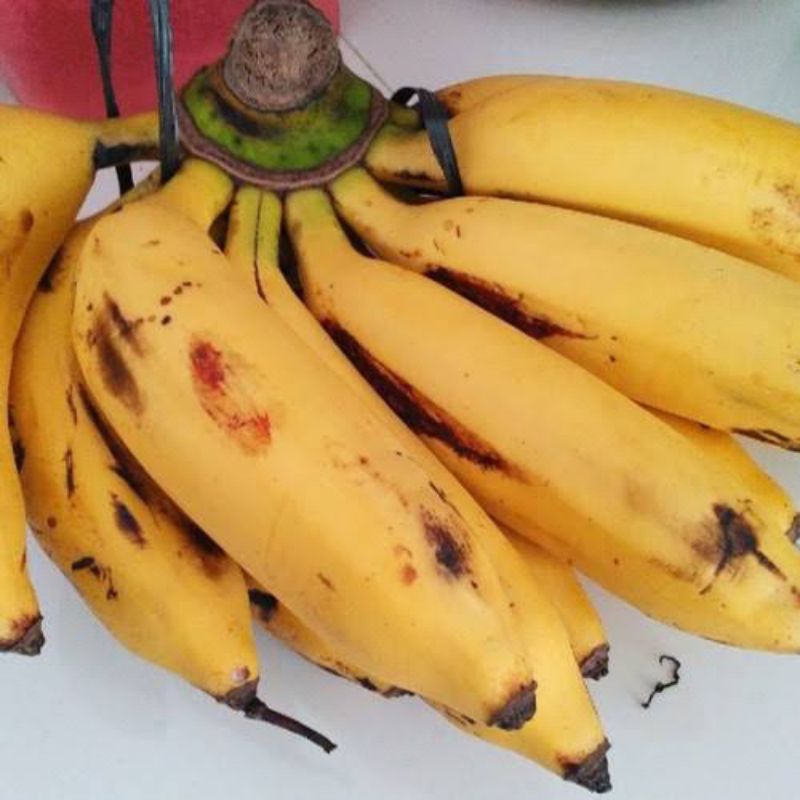 

Buah Pisah Uli/ Pisang Bangkawulu/ Pisang Fresh segar Manis