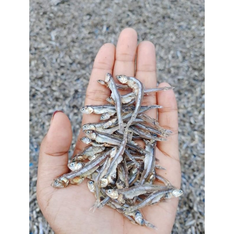 

TERI TAWAR KERING 250GR