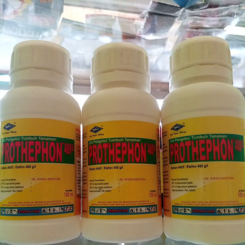 PROTHEPON 480SL 100ML