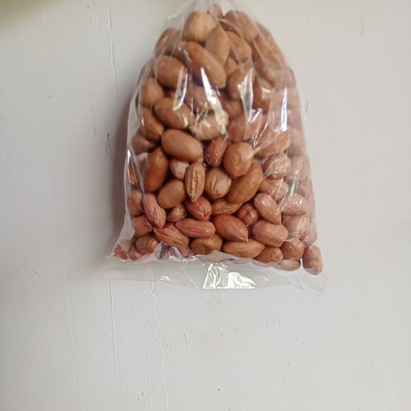 

kacang tanah