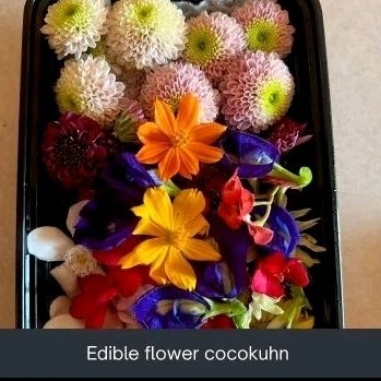 

edible flower 75gr mix flower sesuai stock