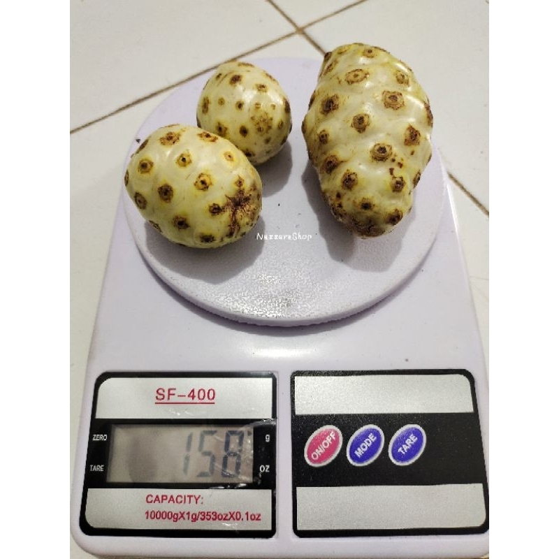 

BUAH MENGKUDU SEGAR / Mengkudu Segar 150 Gram