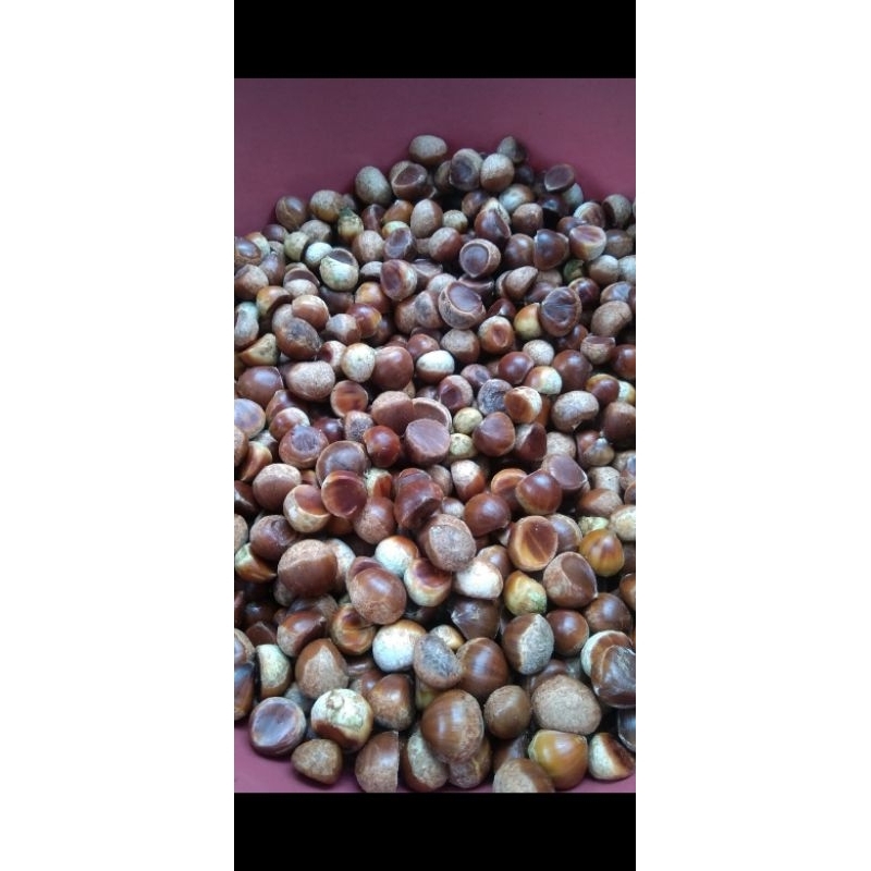 

kacang berangan 1/2kg