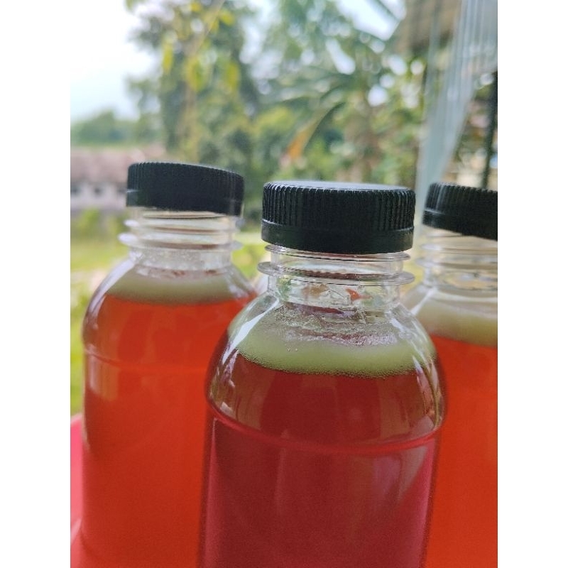 

madu trigona/kelulut