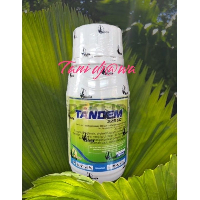 FUNGISIDA - TANDEM 250 ml