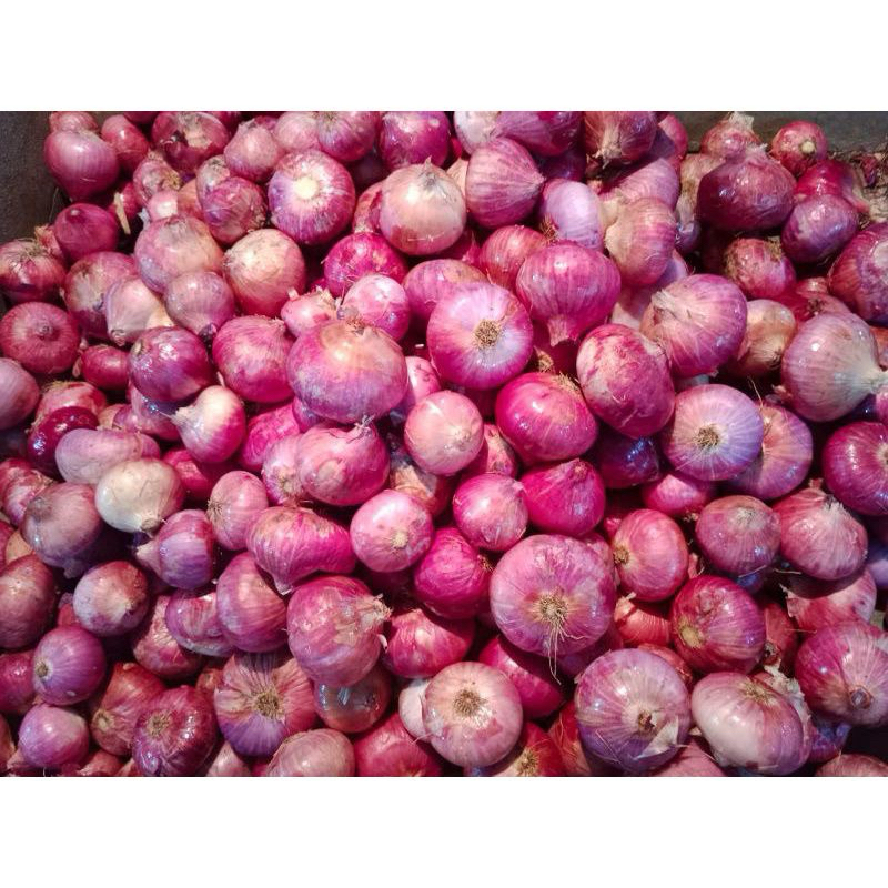 

BAWANG MERAH IMPORT/INDIA 1kg