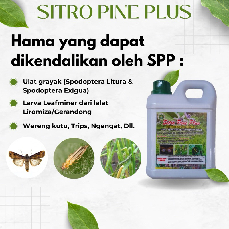 Pembasmi Hama / sitro pine plus / SPP / Obat ulat