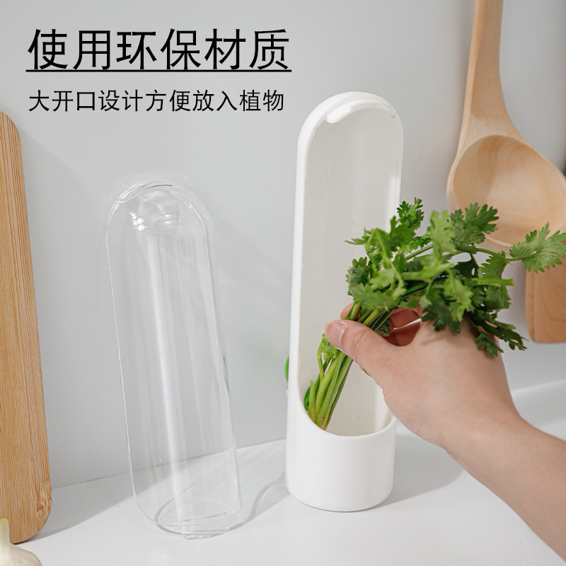 KOTAK SAYURAN SEGAR KEMASAN BOX SAYUR TANAMAN