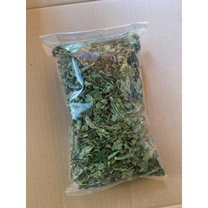 

daun Sena kering tanpa batang