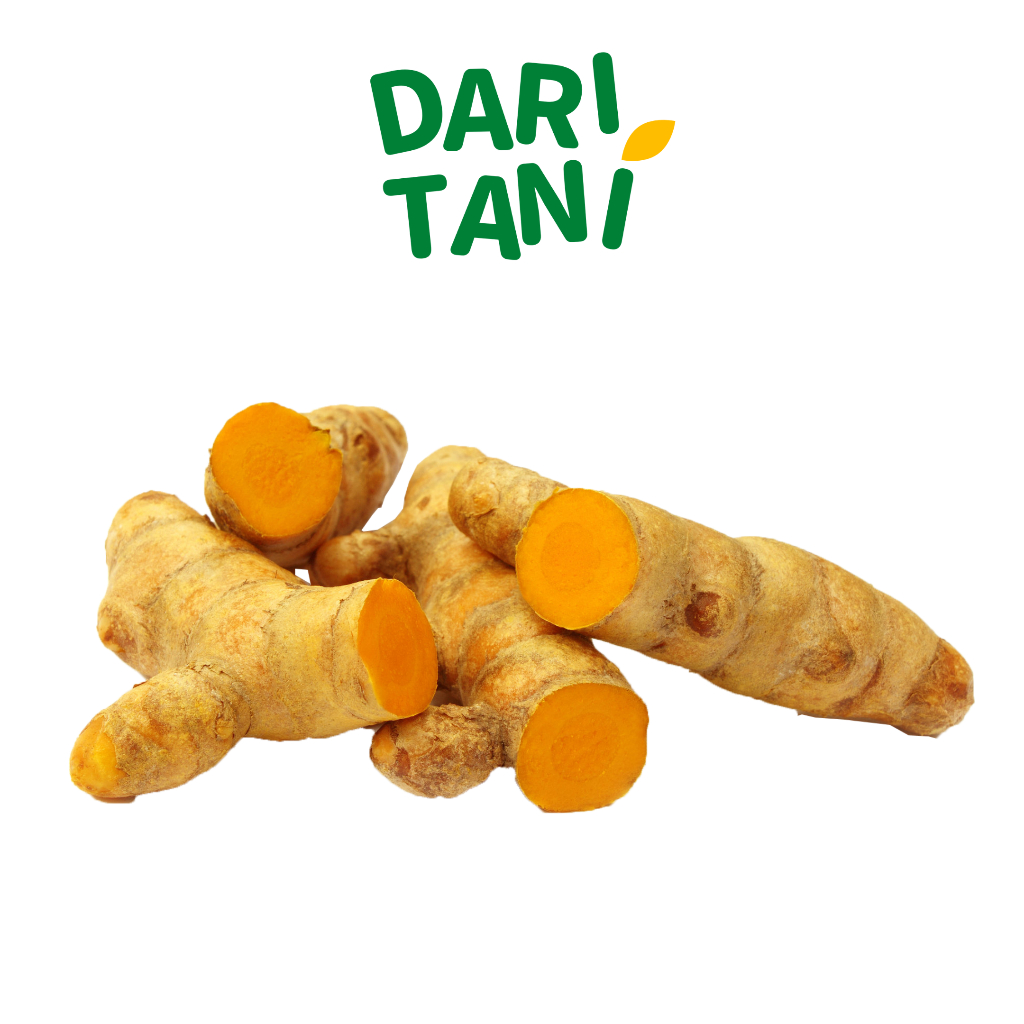 

DariTani Kunyit 200gr
