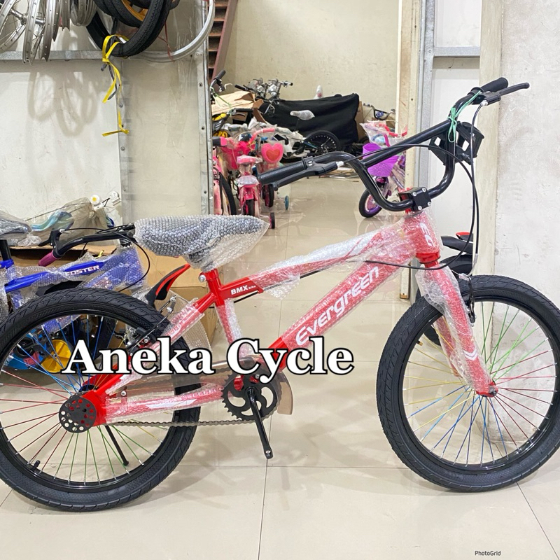 Sepeda Anak BMX Evergreen B2 20 Inch sepeda bmx cowok sepeda bmx dewasa sepeda bmx anak cowok
