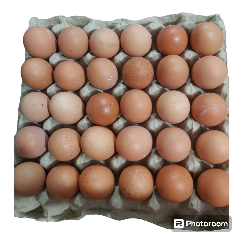 

Telur Ayam 1 Baki Isi 30 Butir Ukuran Besar