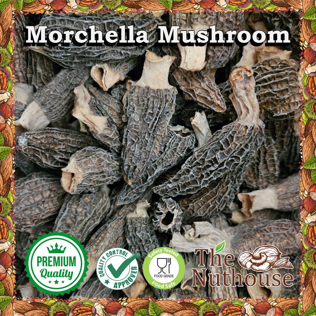

100gr Morchella Mushroom / Dried Morels/ Jamur Yang Tu Jun / 羊土菌 [Premium Quality]