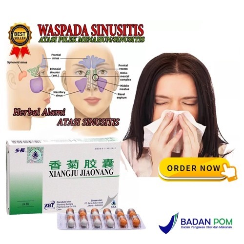 Xianjong xiangju jiaonang obat sinusitis pilek dan demam herbal cina original asli