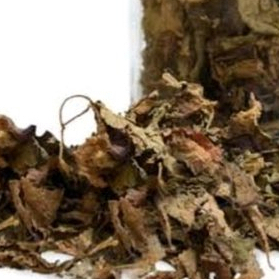 

HERBAL TERMURAH DAUN ILER KERING/MIANA 100 GRAM