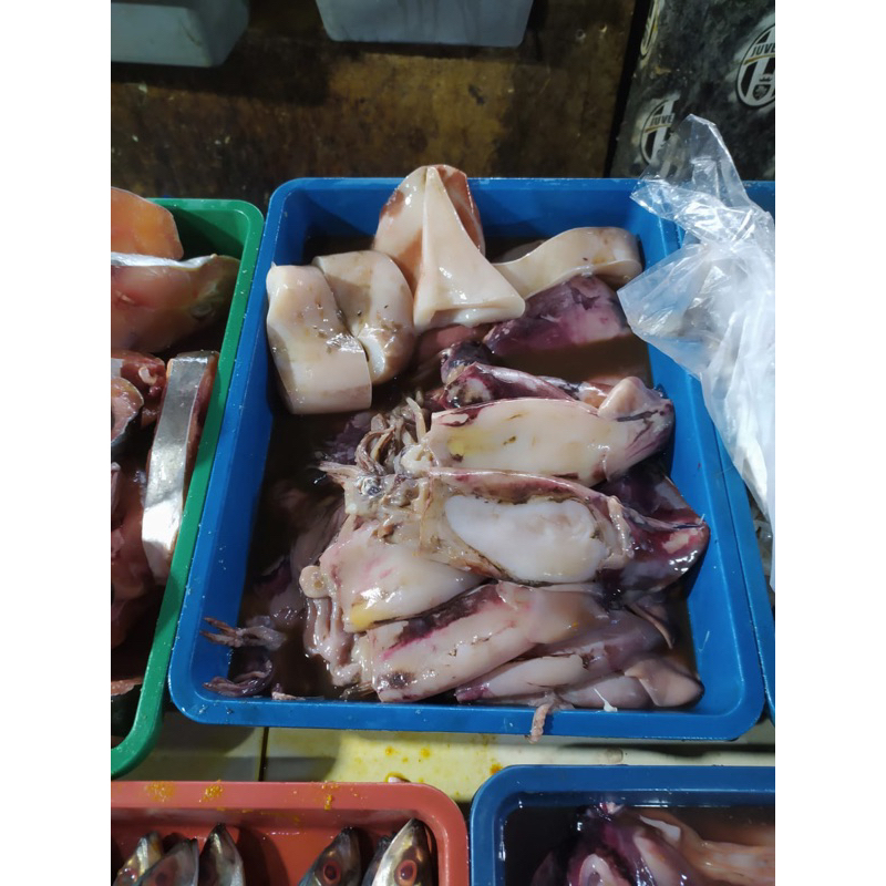 

Cumi Sotong Segar Dadakan