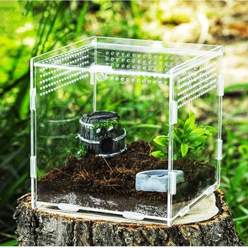 KANDANG TARANTULA, BOX TARANTULA CAGE ACRYLIC