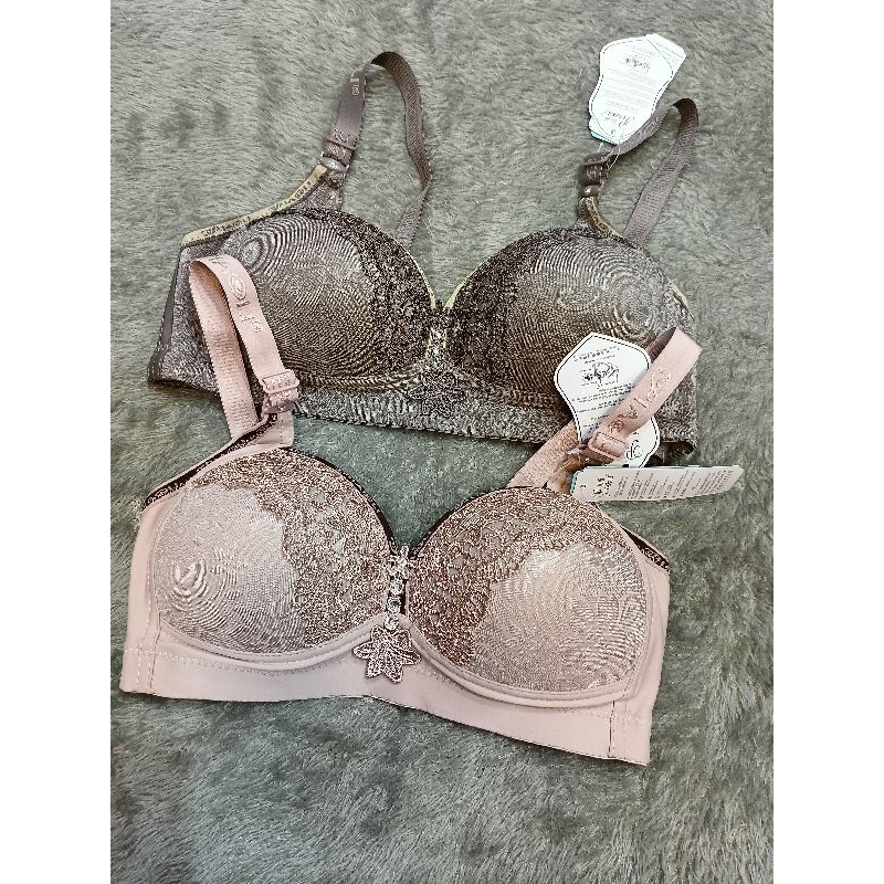 BH PIOLI CUP BESAR KAIT 3