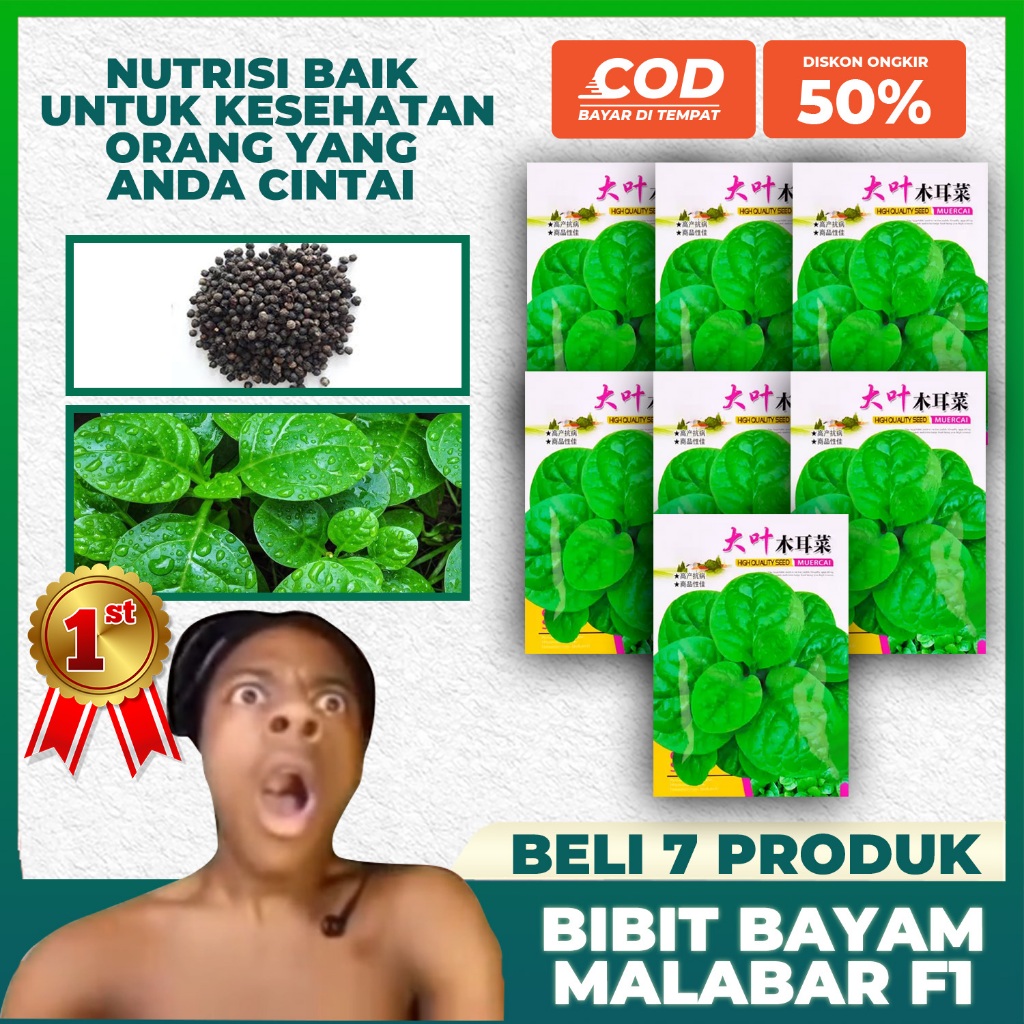 [7 bungkus] Bibit Bayam Malabar Benih Bayam Hijau Malabar Bibit Tanaman Sayuran Benih Sayuran Hijau