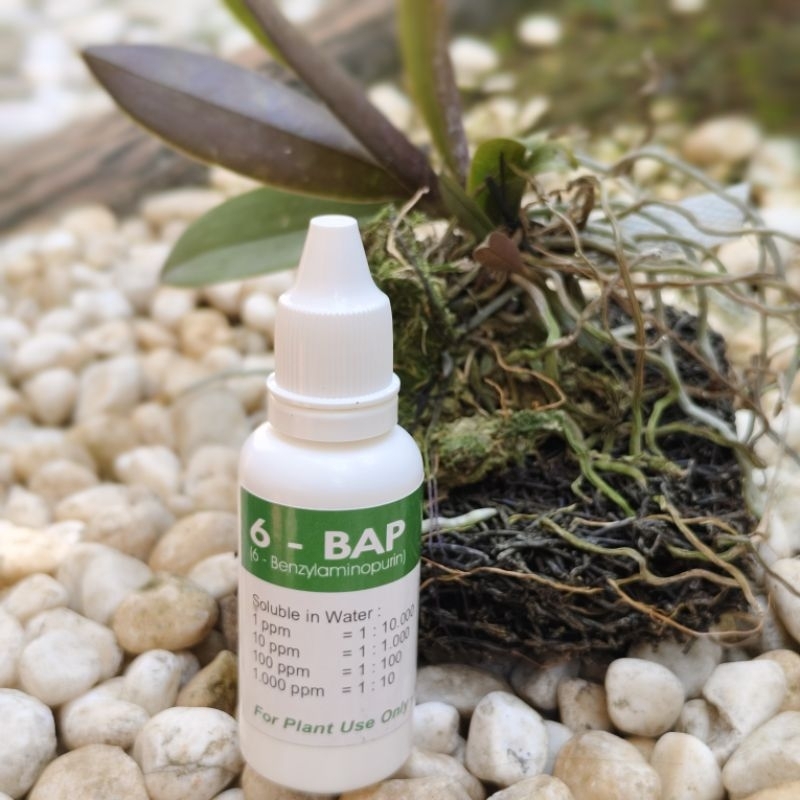 Hormon Tanaman Anggrek BAP-6 / 6-BAP / 6-Benzylaminopurin Untuk Pertumbuhan 30ML