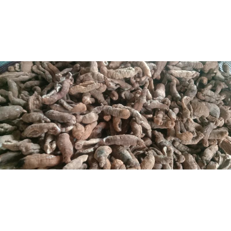 

kerupuk teripang goreng pasir tayamum / 200grm /blonyo