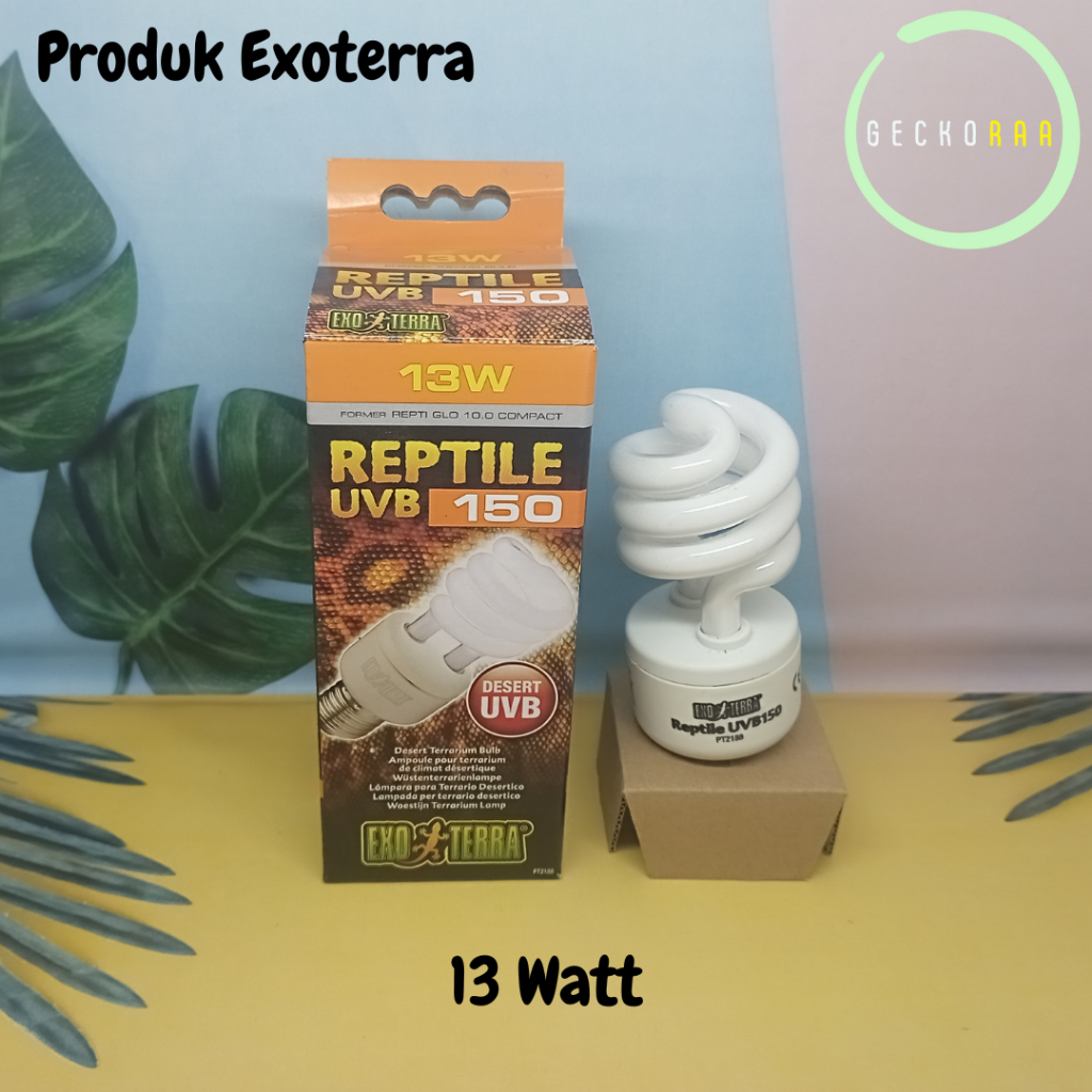 Lampu Exoterra UVB 150 13 Watt Gurun Reptile Torto Sulcata Kura Kadal