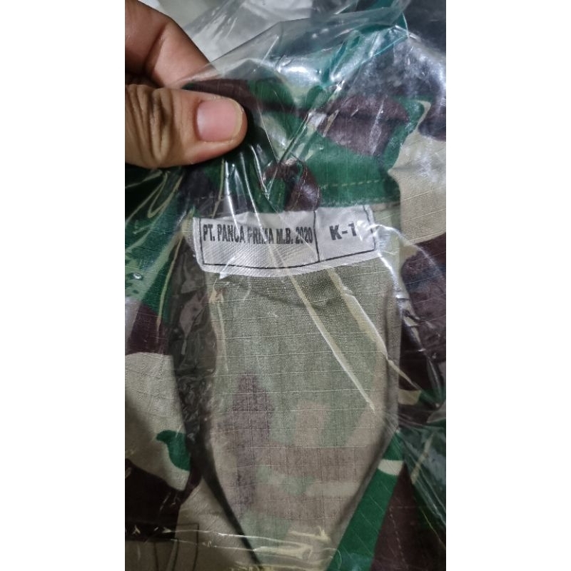 pdl pt panca prima s2