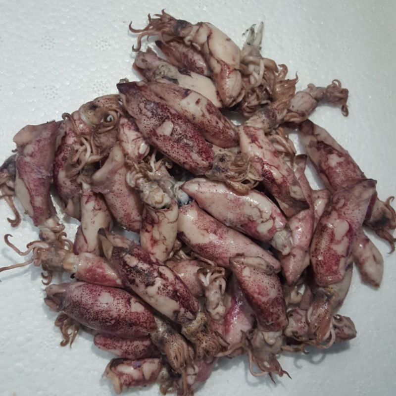

cumi asin sotong kualitas super